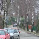 Reja Street in Chełm (2)